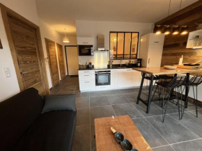Châtel: Appartement neuf 4 pers, terrasse, parking, local à skis, wifi, ménage inclus - FR-1-198-261